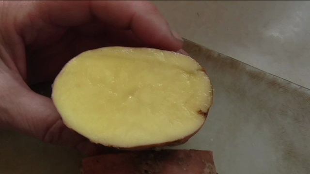 Как хранится картошка пораженная паршой