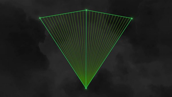 ROBERT REEG - One Wing Bird