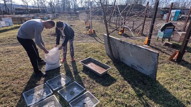 Вода пчелам ранней весной. Какая, зачем и когда. Даём о? смотреть онлайн