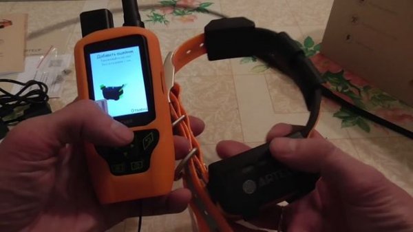 GPS ошейник Artelv Tracker для отслеживания собак. Теперь я бу?