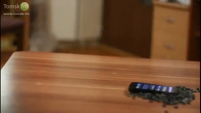 ЛАРИН И КОТ