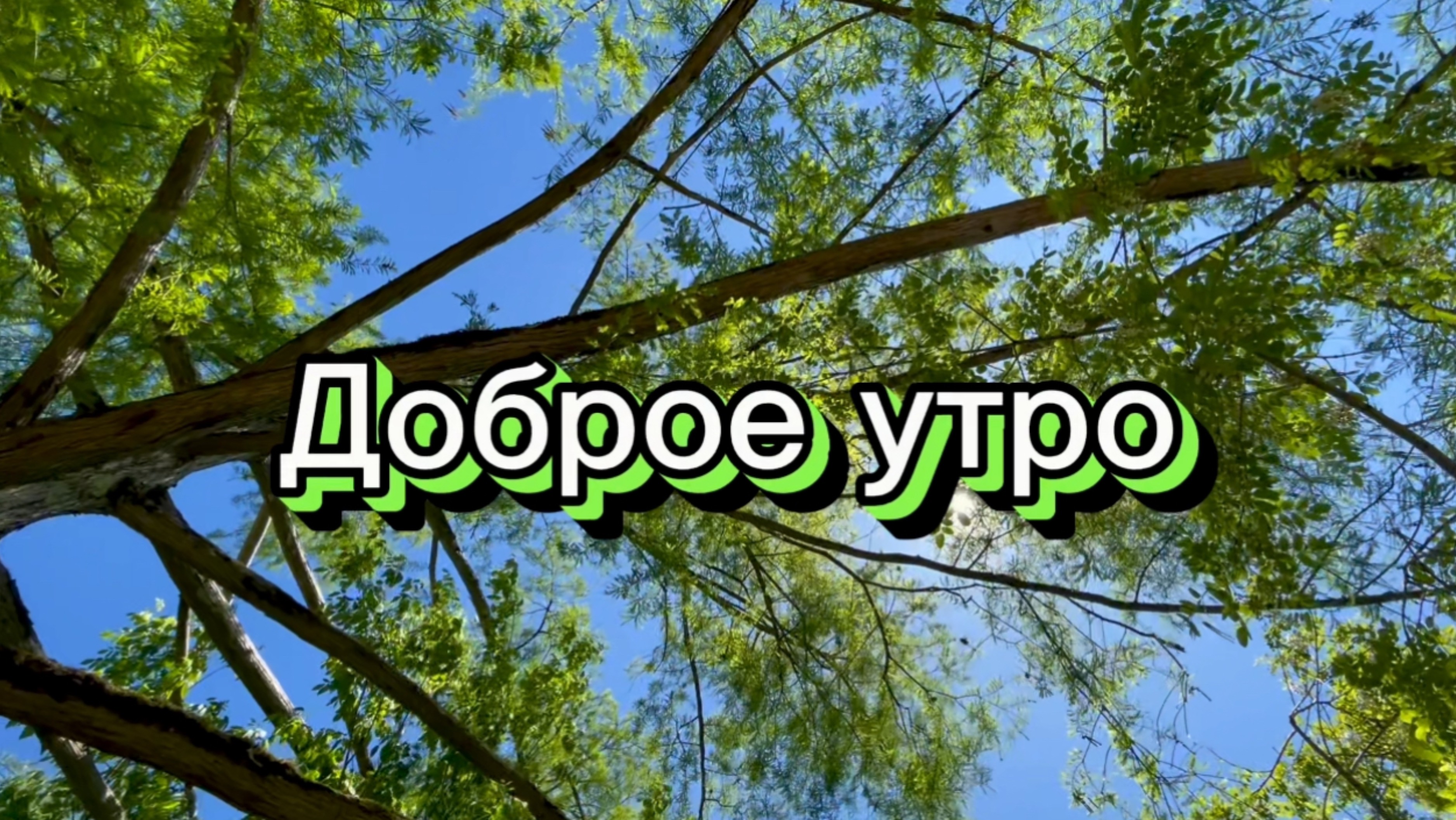 Доброе утро. Подари нам, Господи, добрый день. Песня с добрым утром смотреть онлайн