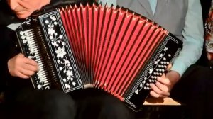 Полонез Огинского на гармони.Музыкальный фестиваль в