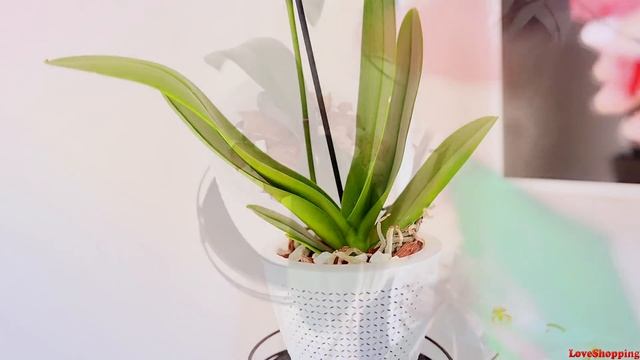 ALIEXPREES | ЗАКАЗЫ из Китая и TMALL