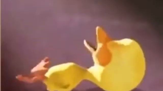 утка плачет
