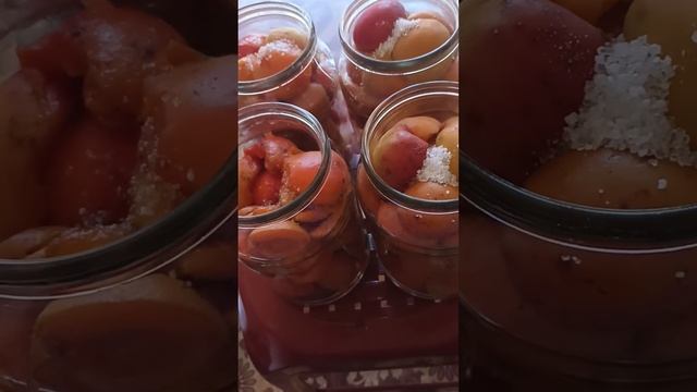 САЛАМ АЛЕЙКУМ! УРОЖАЙ АБРИКОС! КОМПОТЫ!
