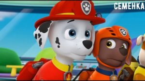 Щенячья Дурка 3 RYTP / Ритп Рутп Щенячий Патруль