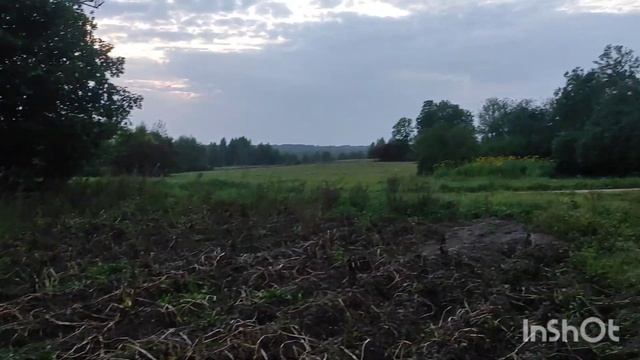 Собрали урожай картофеля. смотреть онлайн