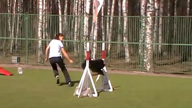 Палеева Екатерина и Кедди