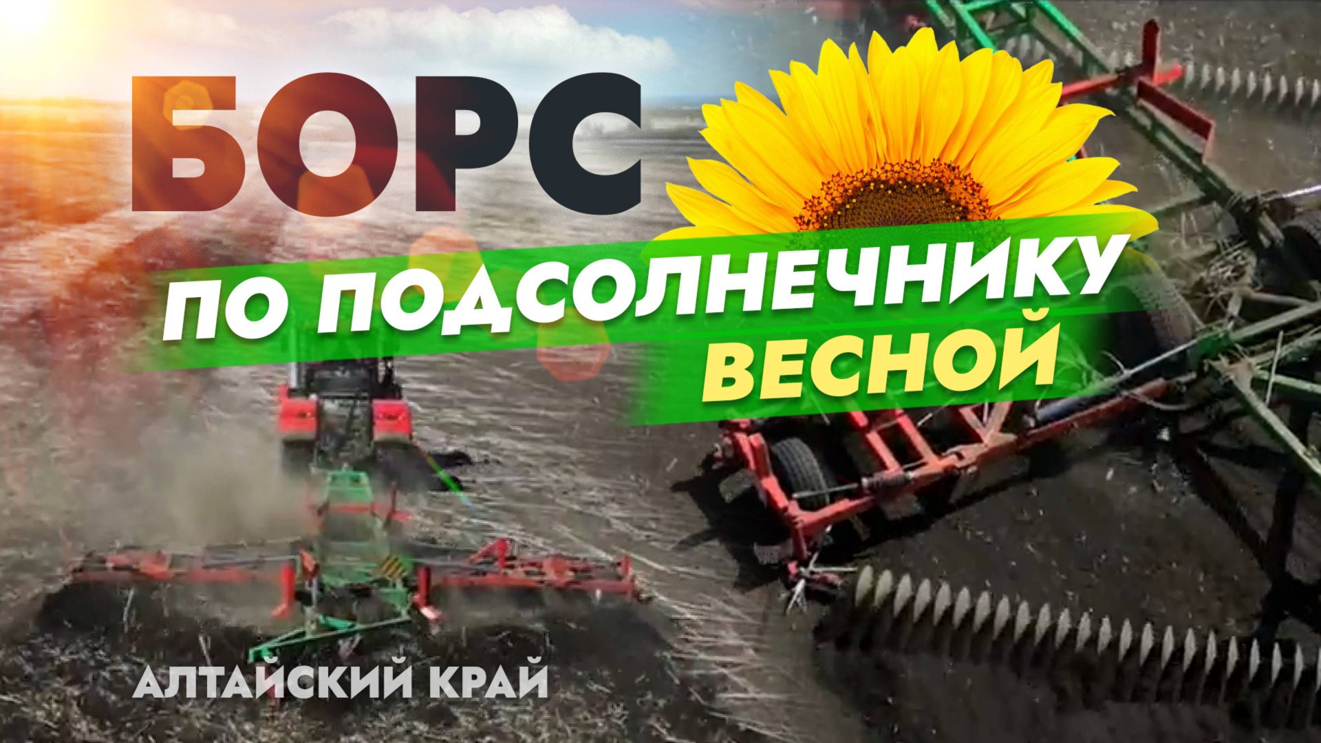 Работа лущильника БОРС по подсолнечнику весной. Алтайский край