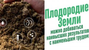 Компост на даче.