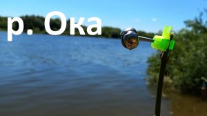Ловим на живца. Река Ока
