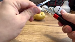 Эксперимент: Получаем электричество из картошки! ⚡🥔