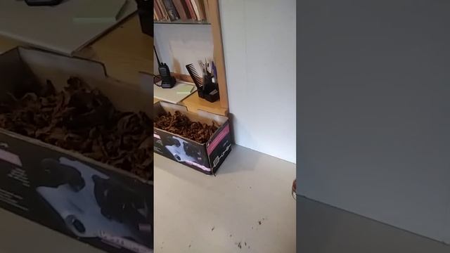 Обзор табака " Юбилейный 142"и " Бамбук". Как уменьшить кр смотреть онлайн