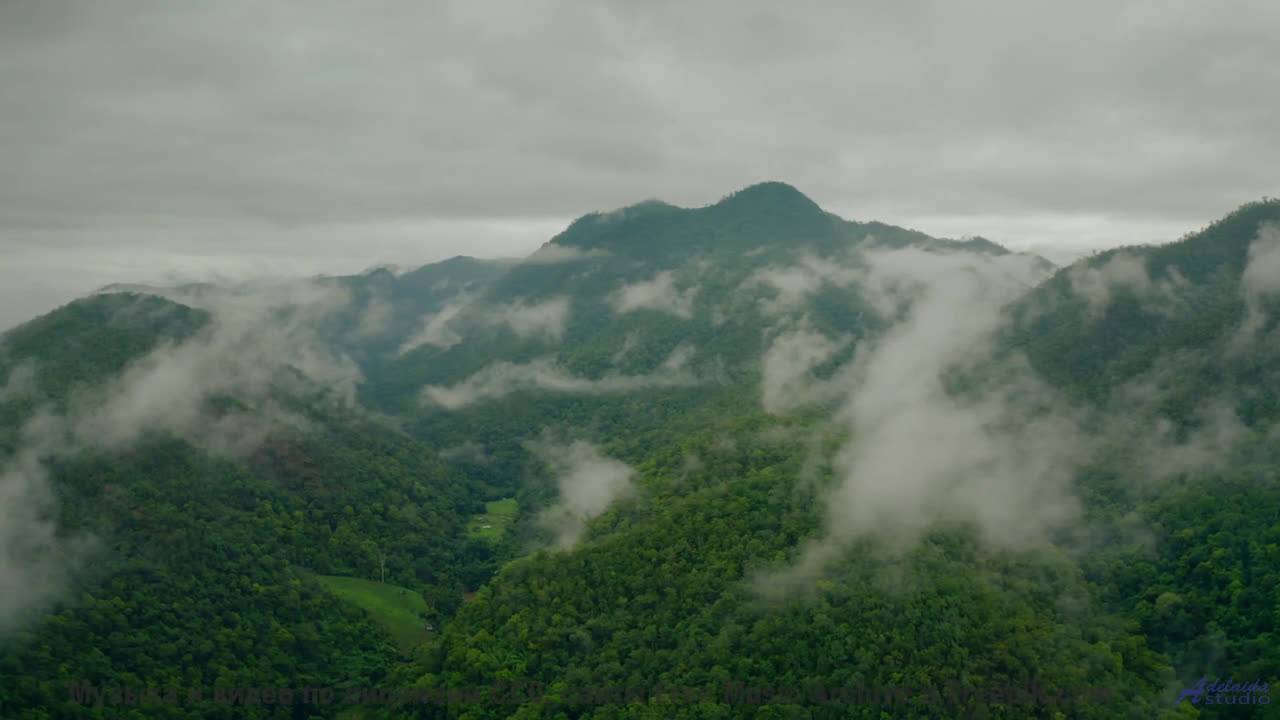 Музыка ведёт туда, где сердце отдыхает - Grumpy Cat Instrumental -- Holizna4KidsMusic -- Grumpy Cat