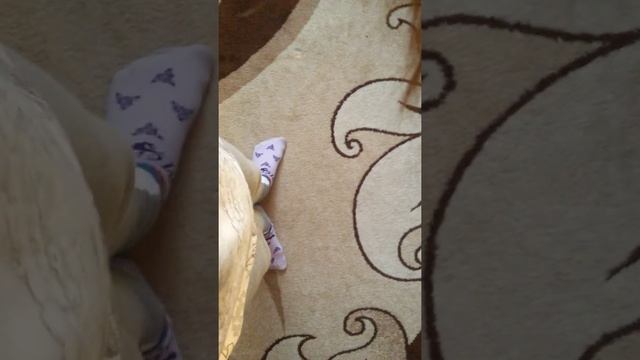 Диско-Хип Хоп