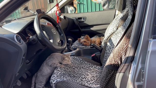 И опять не прокатили. Но теперь не скучно-Тема не один смотреть онлайн