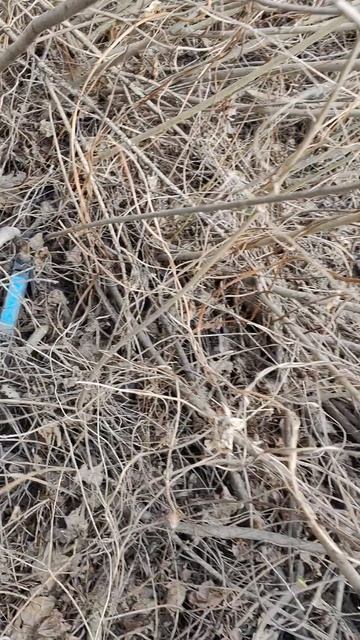 Нашел домкрат