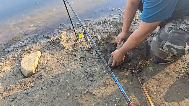 22.05.25 г. Парк отдыха водопад смотреть онлайн