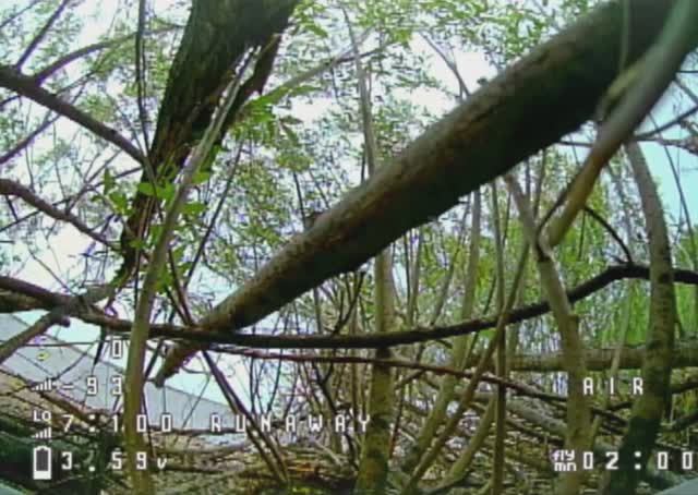 Cetus X. В плёте потерял ориентиры, плюс мотор отказал.