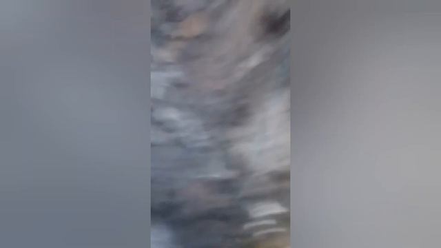 Рыбалка удалась! Морская рыбалка в Кольском заливе смотреть онлайн