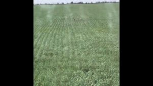 Усиление сигнала GPS, TRIMBLE 250,  модернизация века