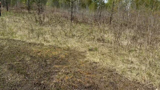 IMG_5559 смотреть онлайн