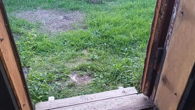 Honda Stepwgn 2015 год замена воздушного фильтра смотреть онлайн