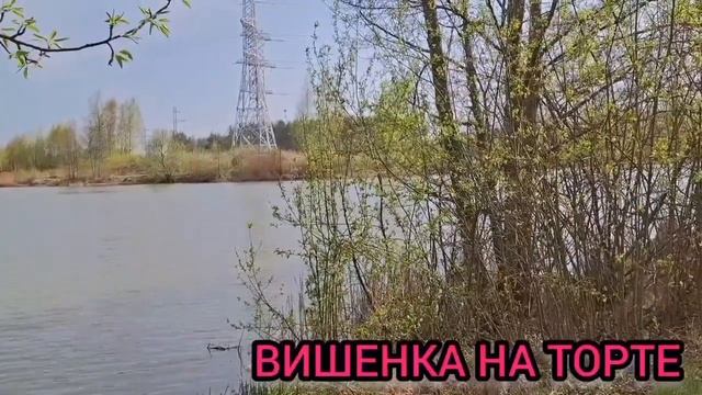 ВОТ ЭТО РАБОЧИЙ РОТ! ЖЕСТЬ! ОЛЬГА УРАЛОЧКА LIVE. ОБЗОР. смотреть онлайн