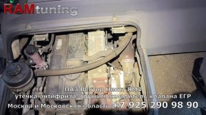ПАЗ Вектор Некст 4.4 ЯМЗ: из-за утечки антифиза глушим о?
