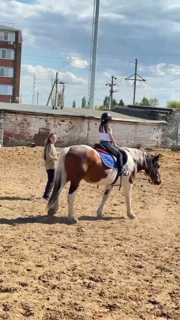 верховая езда, тренировки