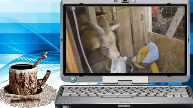 Видеоклип Танцы и любовь или С 1 апреля! С Днем смеха! смотреть онлайн