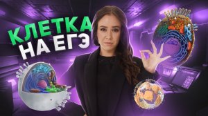 ВСЁ о клетке для ЕГЭ по биологии (Задания 5, 6, 7, 8) | Умскул
