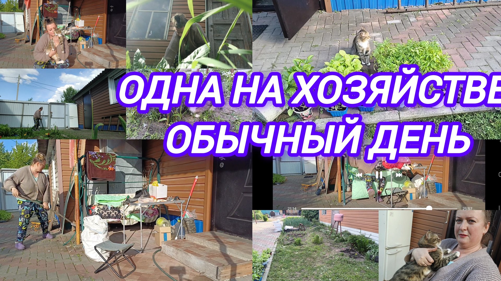 БОРЮСЬ С ТРАВОЙ. УБОРКА ВО ДВОРЕ смотреть онлайн