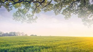 Чудные райские нивы  245 __Сборник  ИСТОЧНИК ХВАЛЫ_ Христианская песня