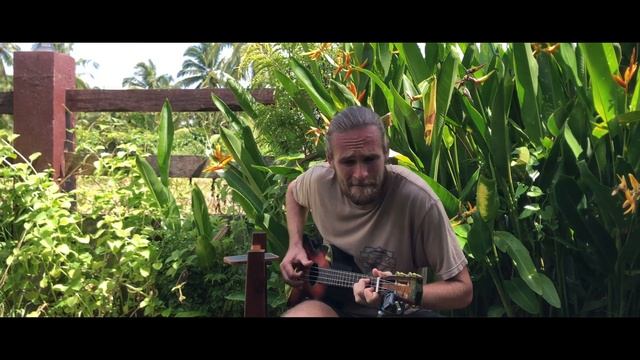 «Хава нагила» в стиле фламенко-буги. “Hava nagila” flamenco-boogi смотреть онлайн