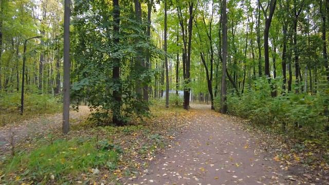 Прогулка по осеннему Нескучному саду | Москва | Moscow walk 4 смотреть онлайн