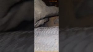 опель мокка 1,8 ремонт после ремонта. Ужасный ремонт на