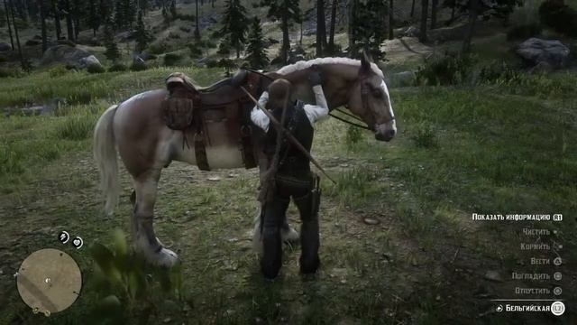 Прямой показ PS4 от Ozverevshiy RdR 2 Прохождение