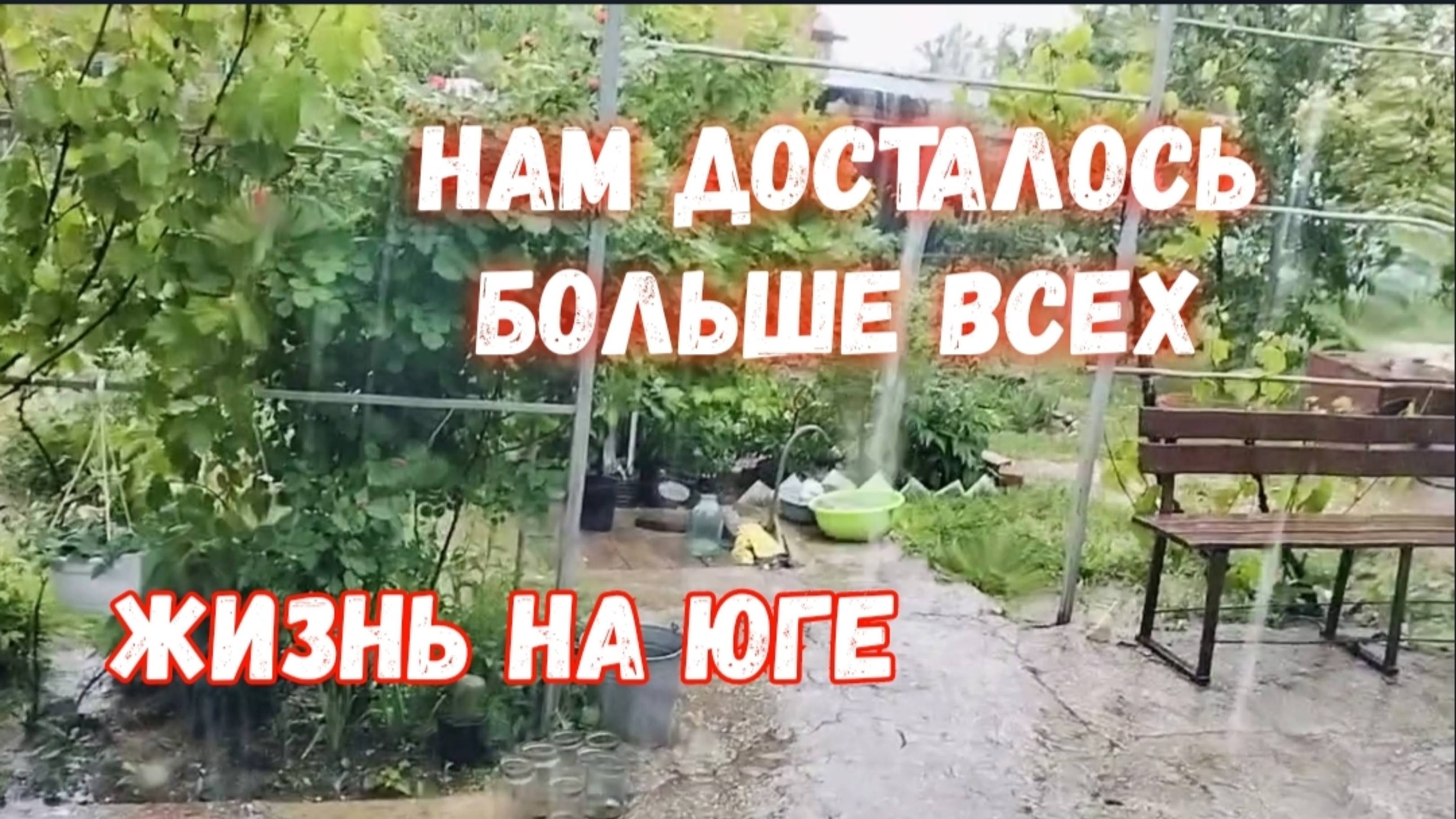 #26🌷Нам досталось больше всех/Налепила пельмешек/Вареники с клубникой смотреть онлайн