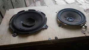 TeST фронта дикий панч 141