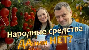 ПОМОГАЕТ или ВРЕДИТ? Народные средства защиты растений