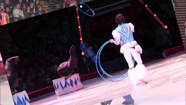 Цирк   удивительное место!!!