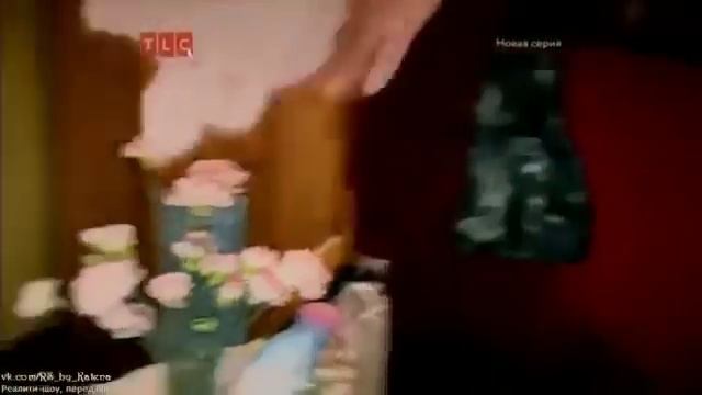 Помешанные на чистоте 2 сезон 8 серия. смотреть онлайн