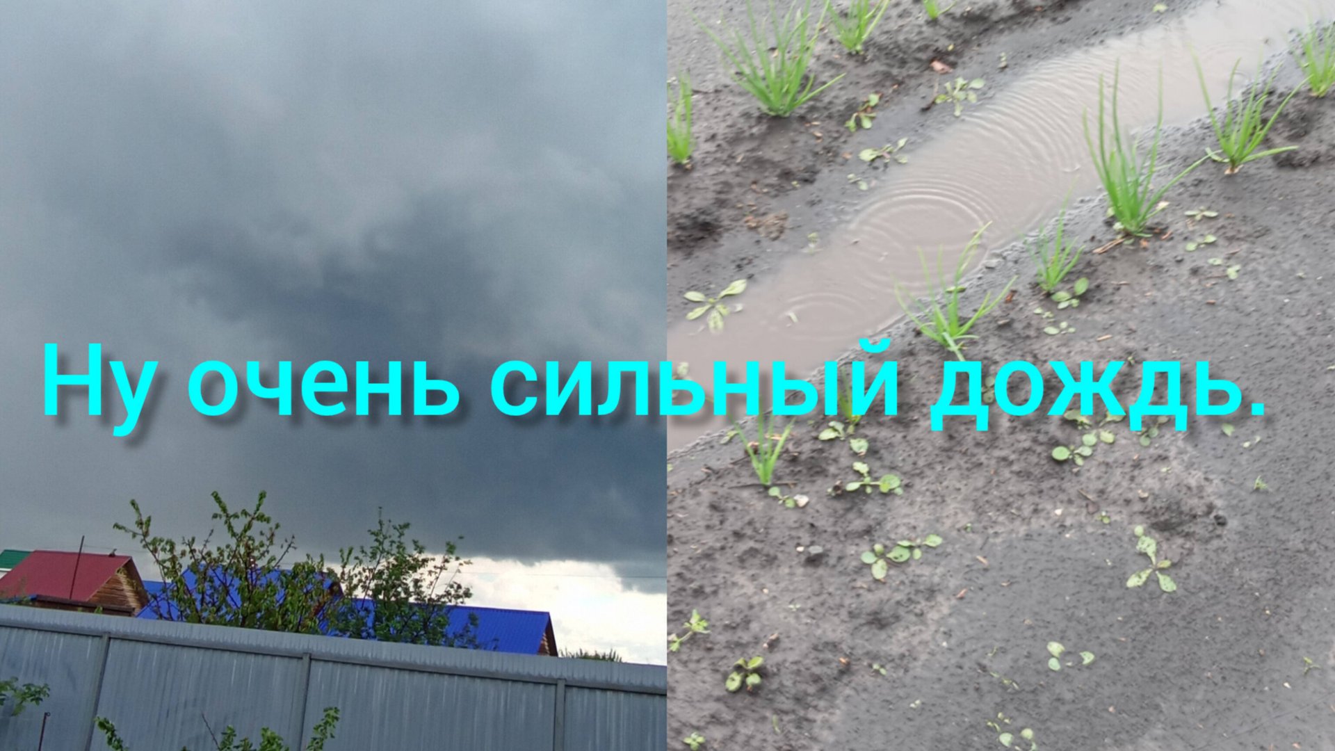 Ну очень сильный држдь смотреть онлайн