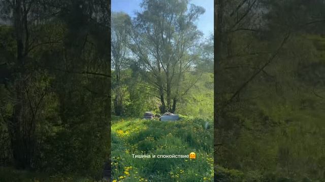 11755679 смотреть онлайн