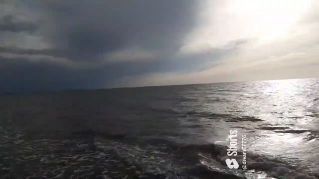 Два крыла💓#сергейпискун #music#luchshii#love#море #шумприбоя #? смотреть онлайн