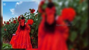 Цыганские Польки 2025 — от города Донецк 🔥 Цыганские Ч?