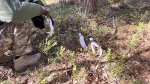 НЕСОВЕРШЕННОЛЕТНИЕ ТЕРРОРИСТЫ ЗАДЕРЖАНЫ В ТВЕРСКОЙ ОБЛАСТИ