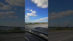 Отрыгнул задний редуктор на Subaru Forester